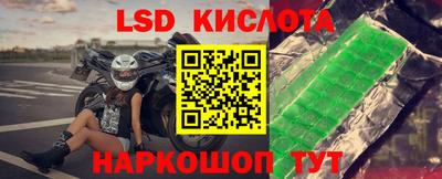 трава Бийск
