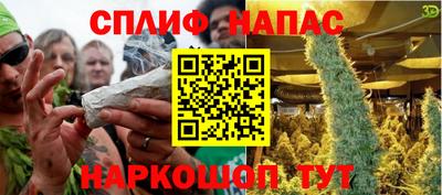 трава Бийск