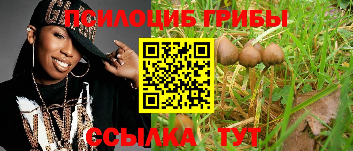 Псилоцибиновые грибы мухоморы  Вход с VPN  Канаш 
